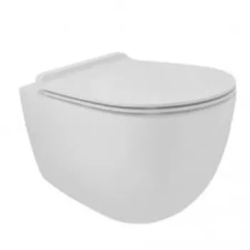 wall hung toilet-8208405-18127.webp